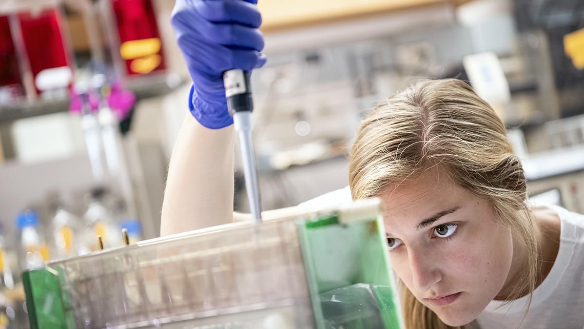 A student works on a campus lab