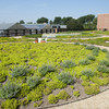 The green roof at Howlett Hall was the first publicly accessible green roof at Ohio State.