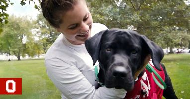 Raising and Training Service Dogs | The Ohio State University