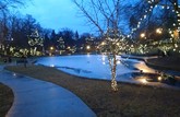 Evening Lights