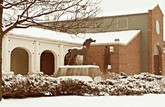Dancing in Snow
