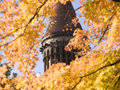 Orton Hall in autumn