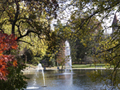 Mirror Lake