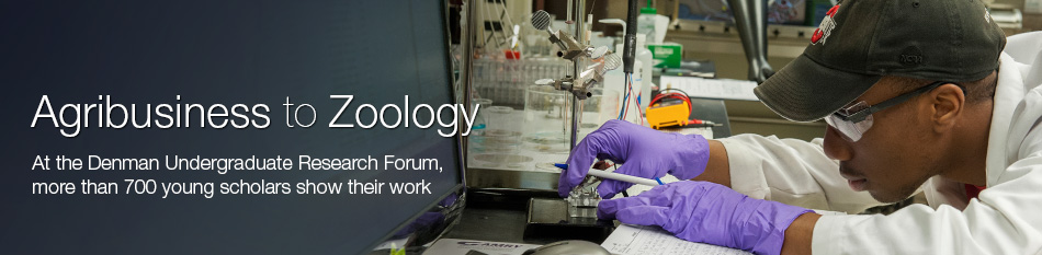 Featured news item: Denman Undergraduate Research Forum