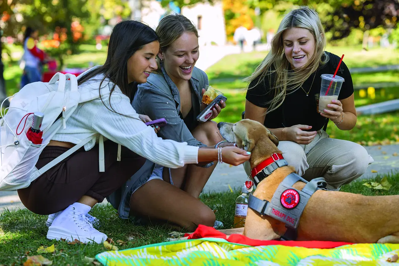 three women petting a therapy dog outdoors on a sunny day