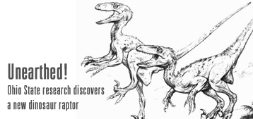 new raptor discovered
