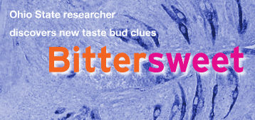 Ohio State researcher discovers new taste bud clues