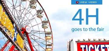 4-H goes to the fair