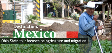 Destination Mexico