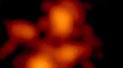 Farsighted