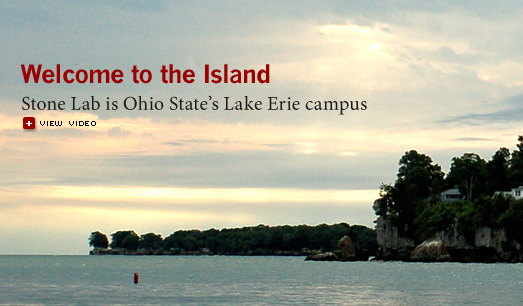 "Welcome to the Island"