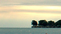 Welcome to the Island