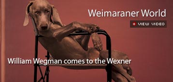 william wegman comes to the wexner center