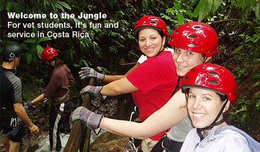 "Welcome to the Jungle"