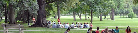 Orientation 2009
