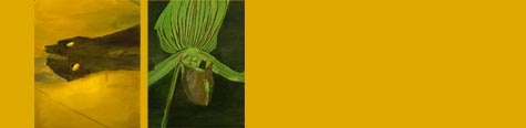 Fall Exhibitions at the Wexner Center