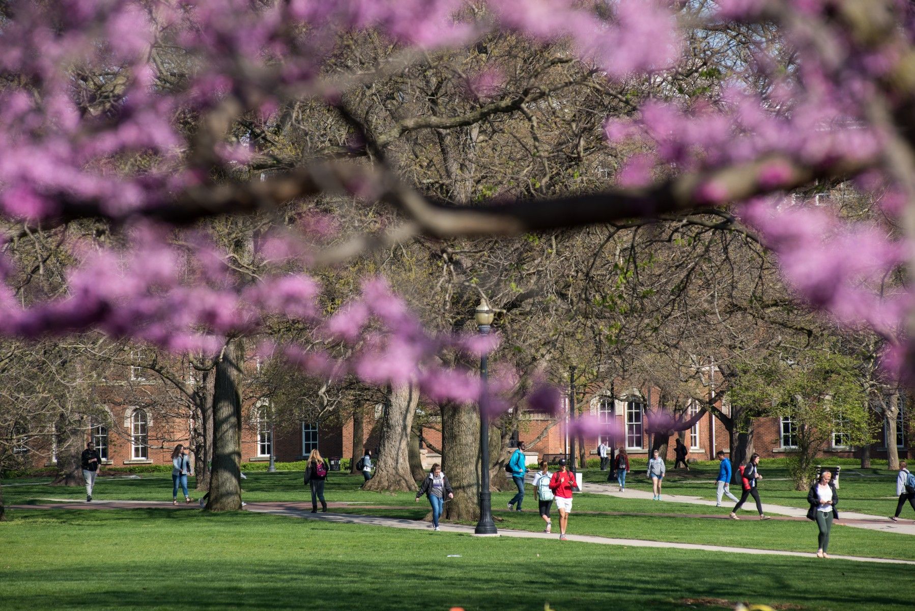 Spring on the oval.
