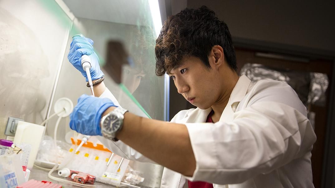 A researcher works on a research project