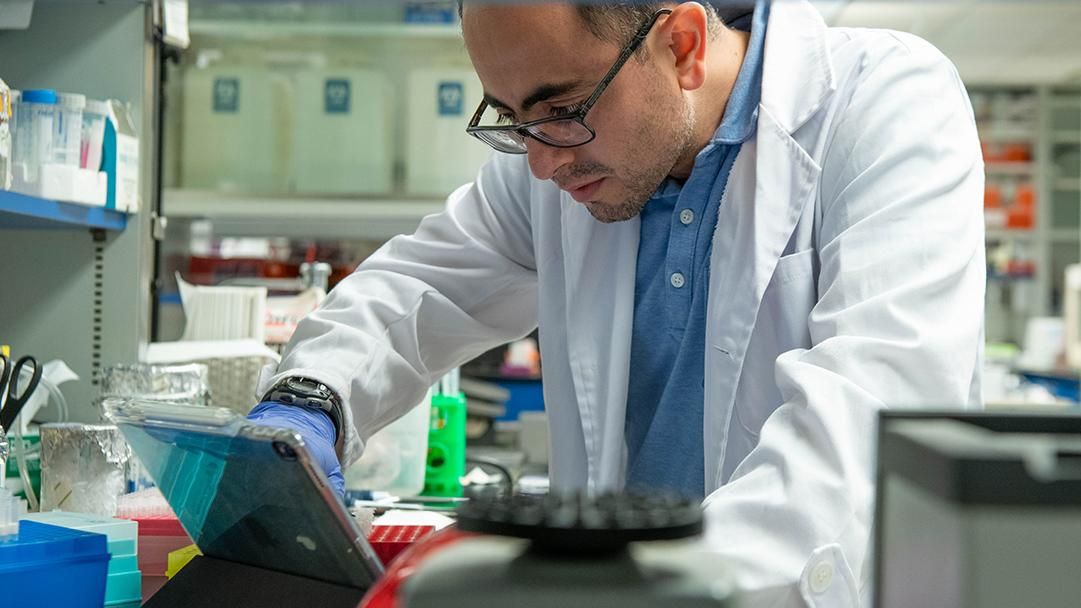 A researcher examines a project