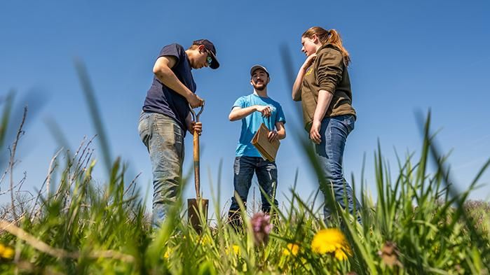 Three people in an alfalfa field