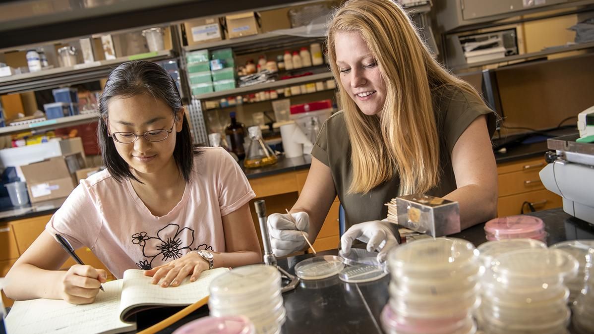 Two students work together in a research facility