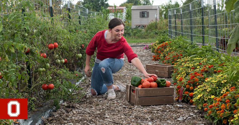 Student Maggie Griffen working in the garden.