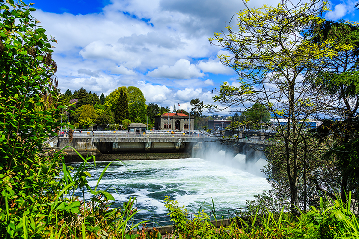 Ballard Locks