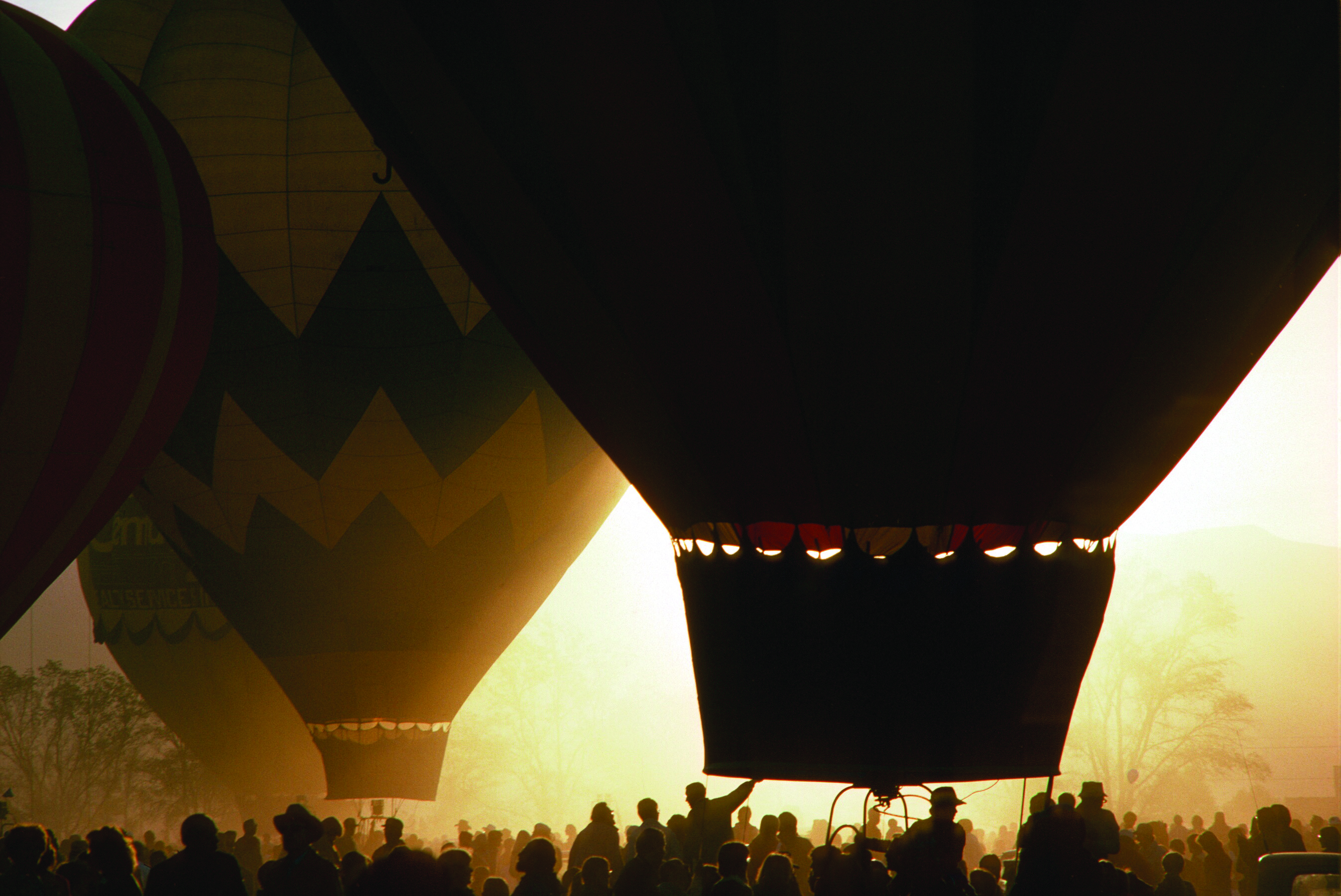 hot air balloons in the morning