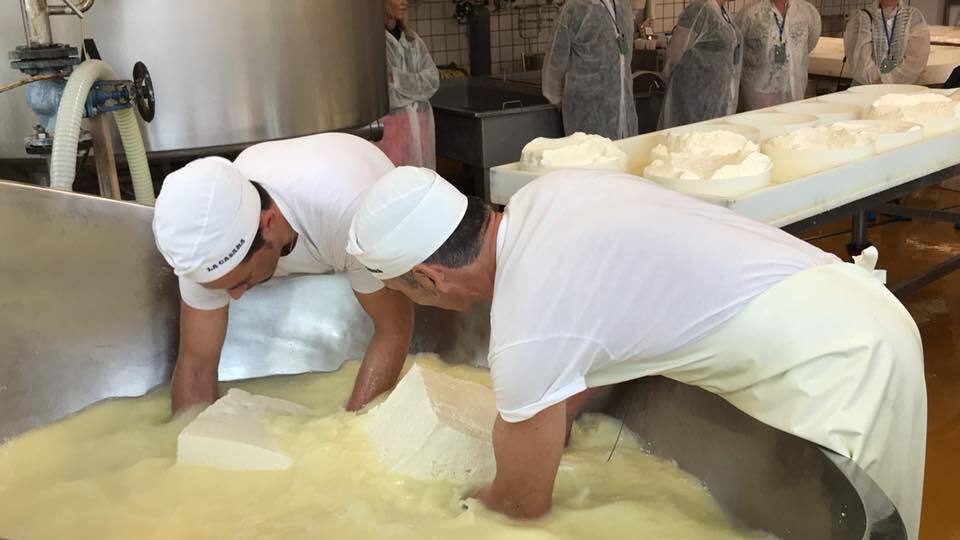 Cheese Making