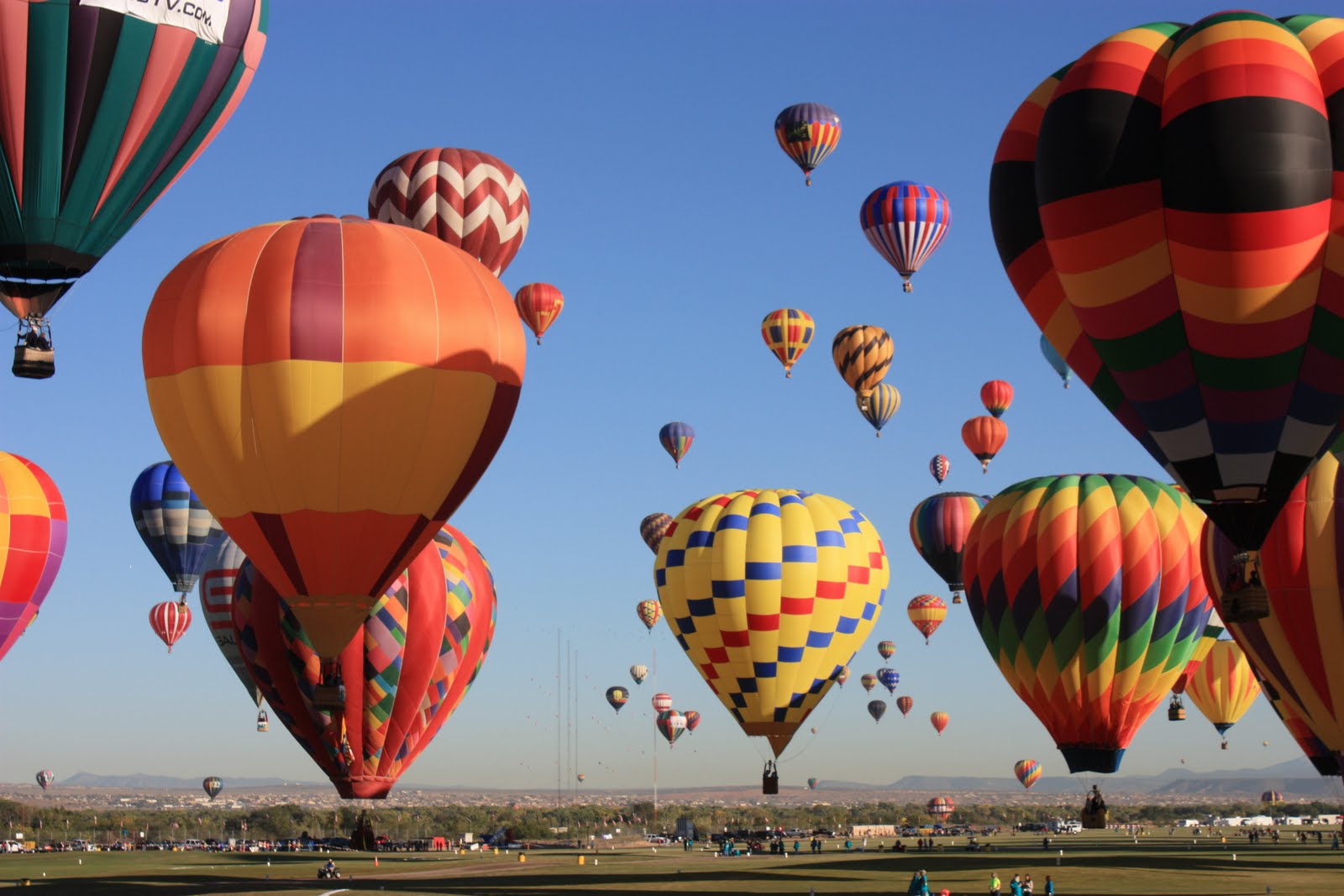 hot air balloons in flight