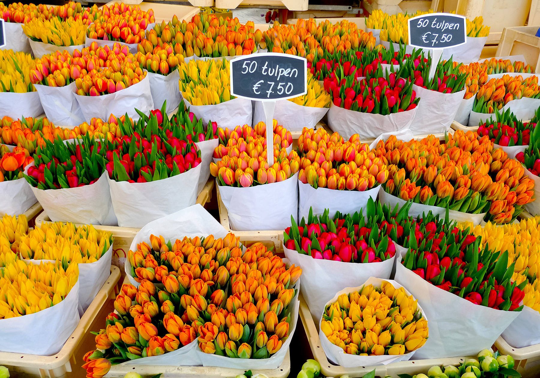 Amsterdam Flower Market