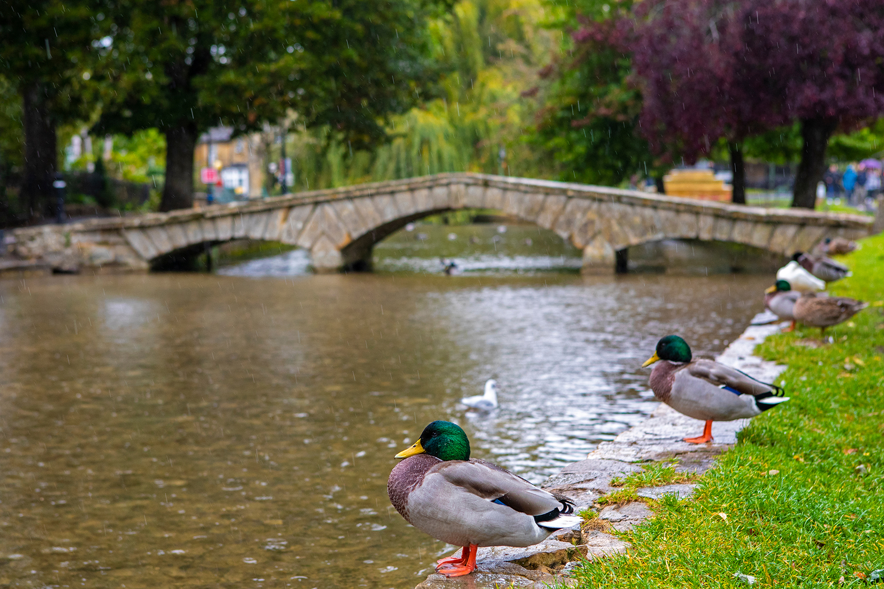 Bourton On The Water