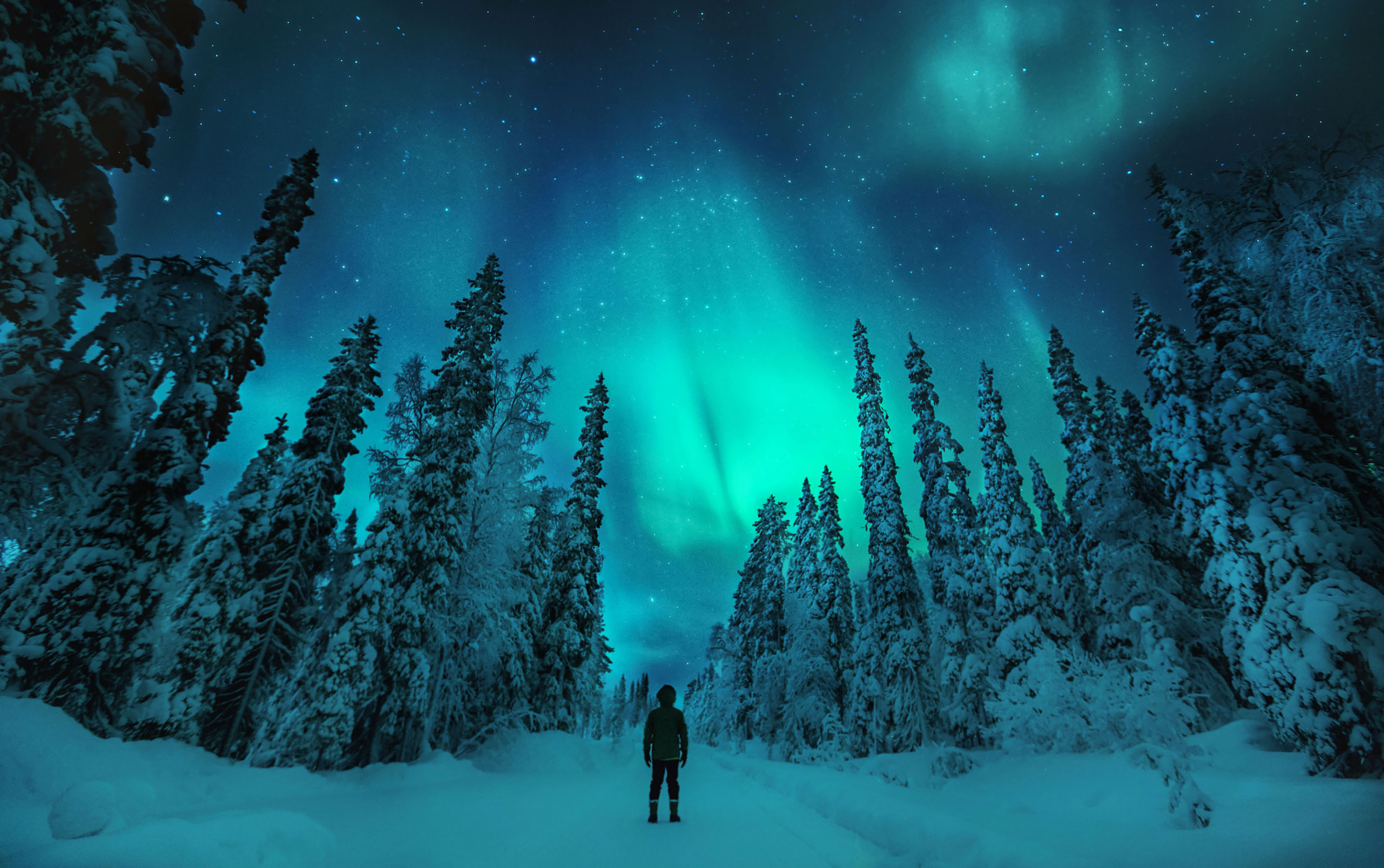 man enjoying the Northern Lights in the snowy wilderness