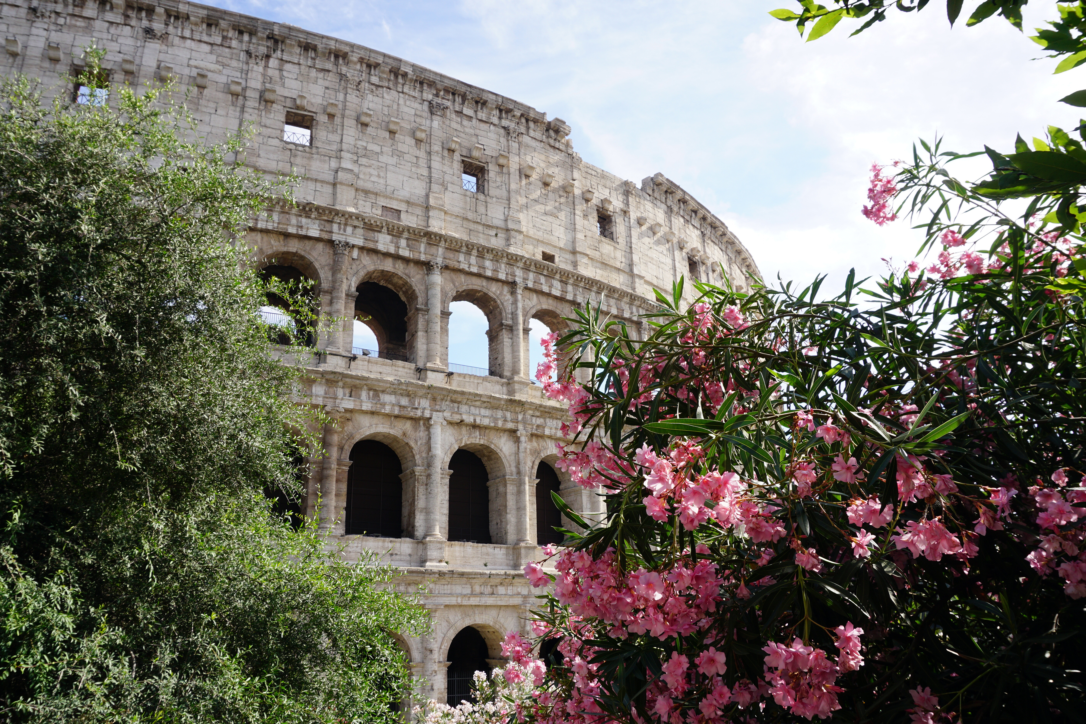 the Colosseum in Rome