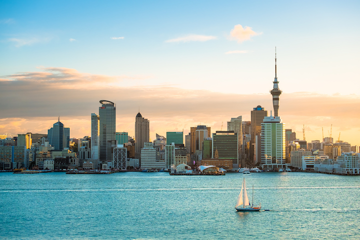 Auckland Skyline