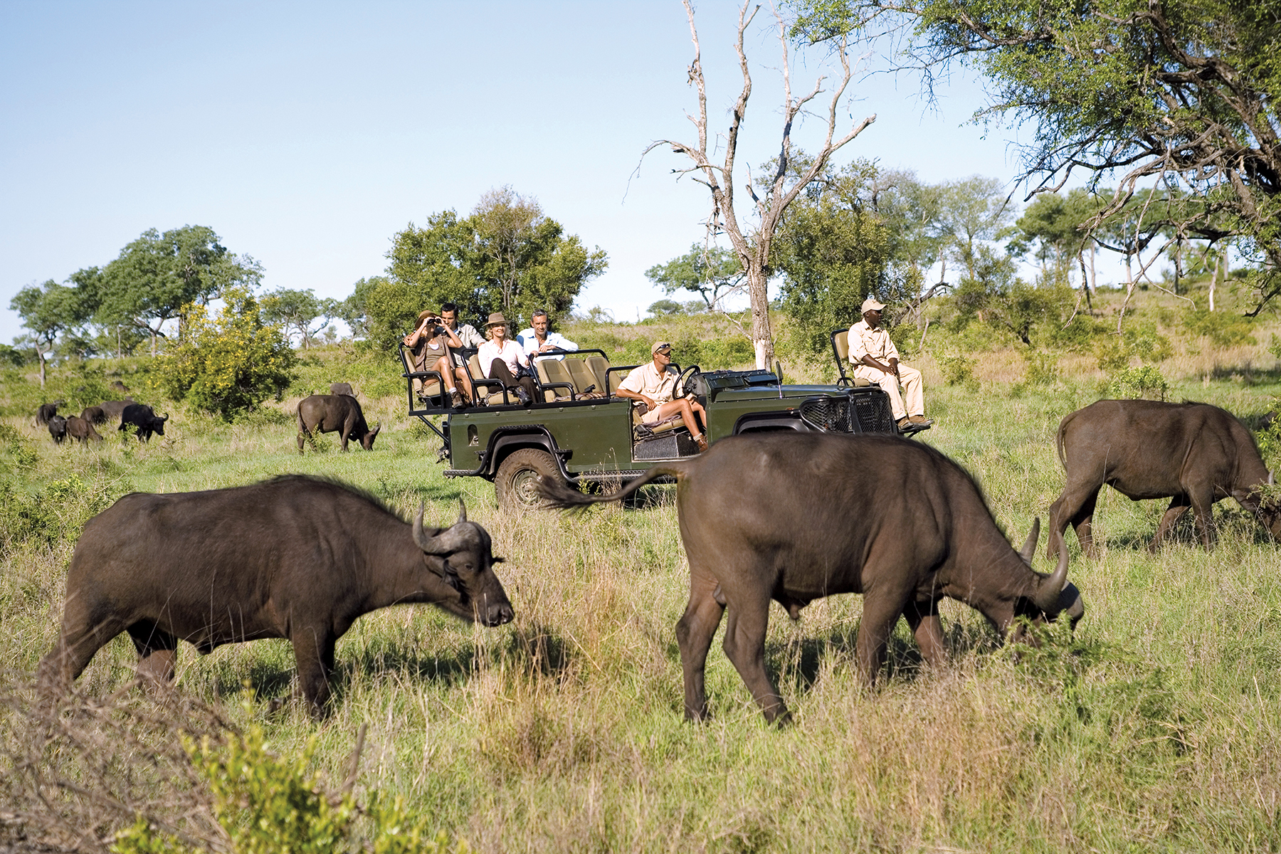 Travelers ridding in a safari vehicle during a game drive