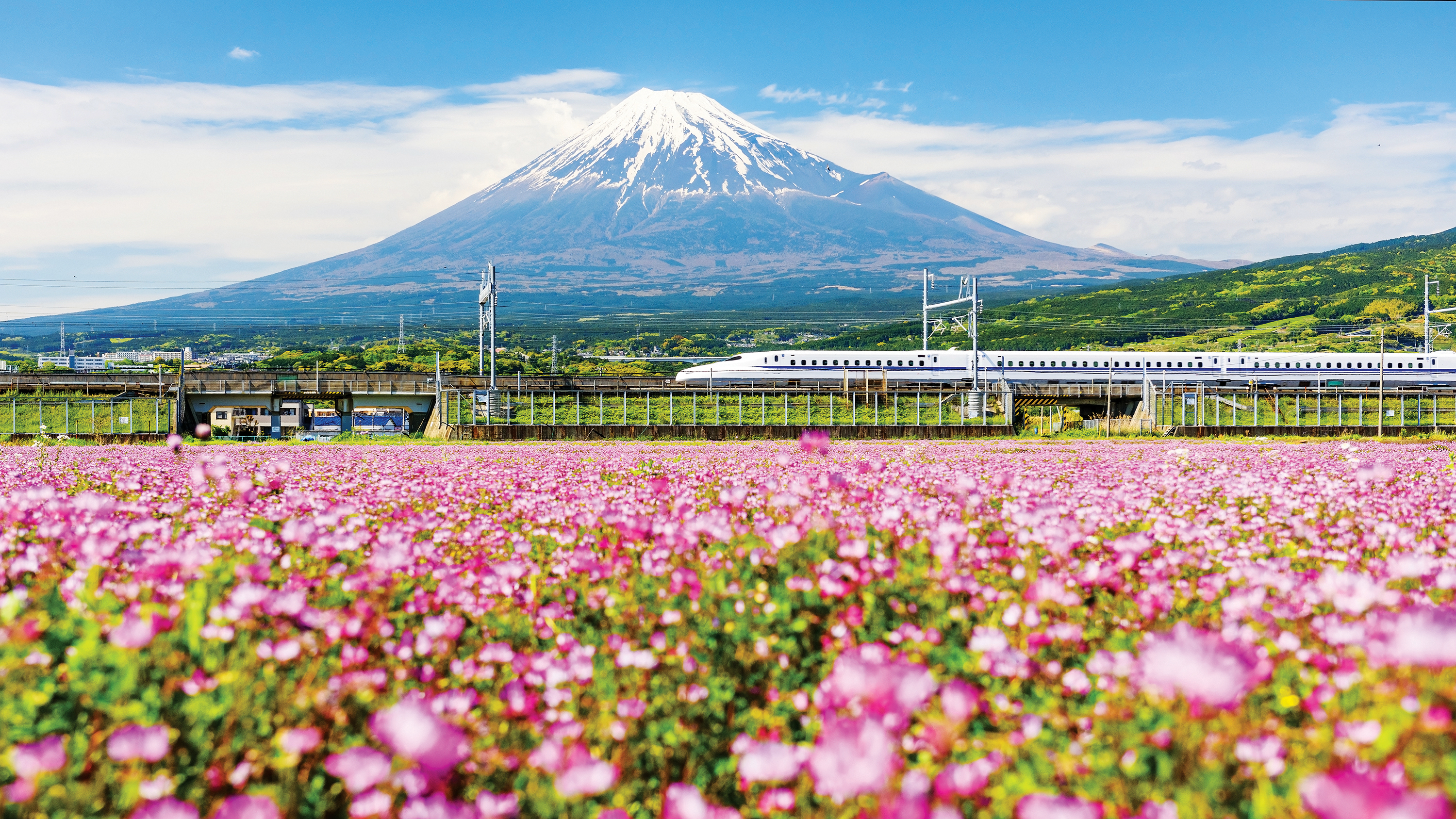 Shinkanzen Mt Fuji