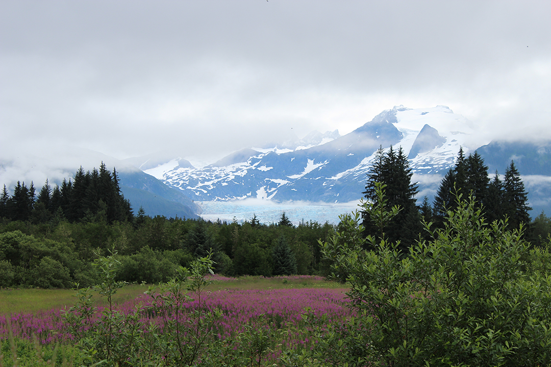Alaskan countryside