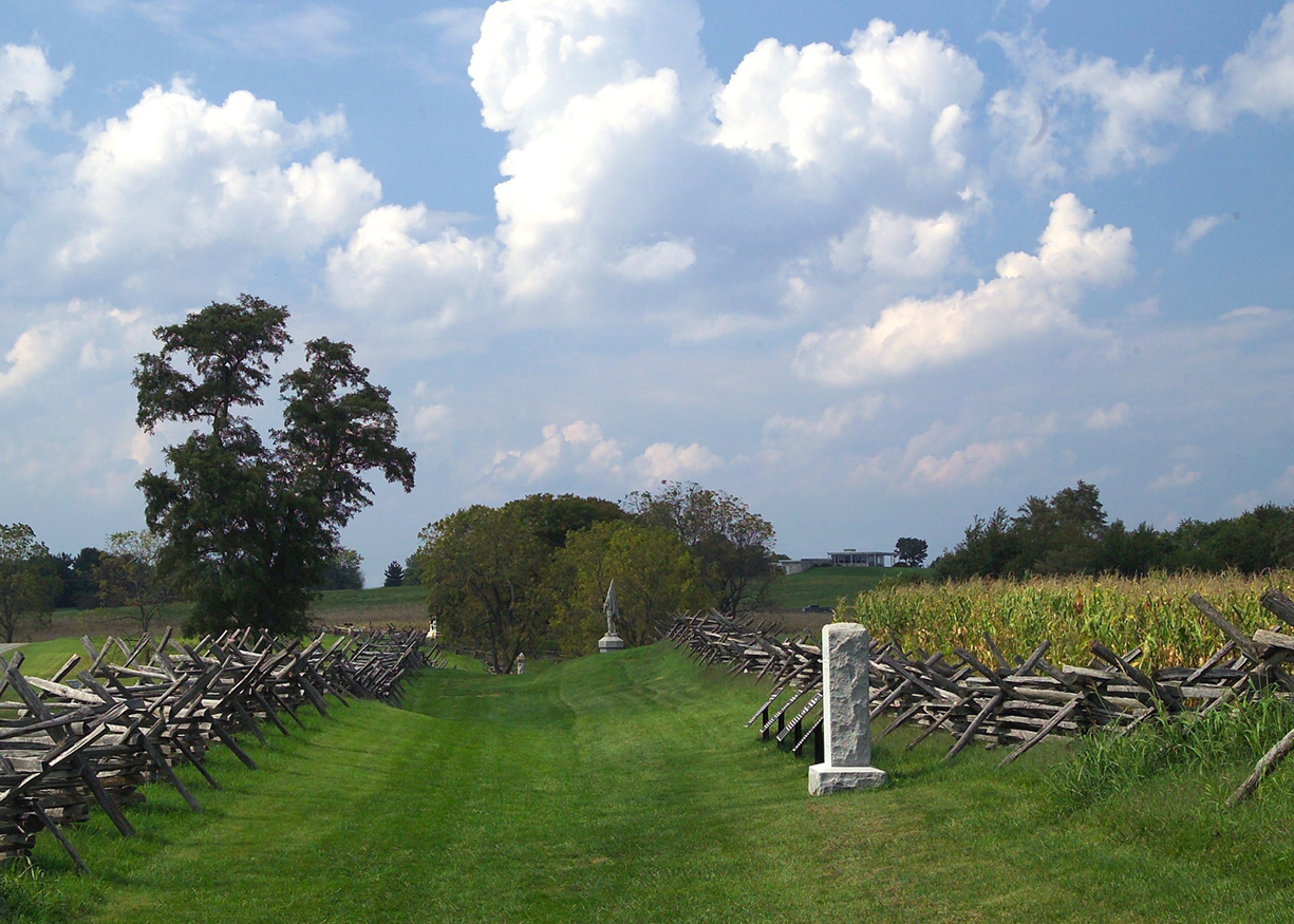 Antietam Field