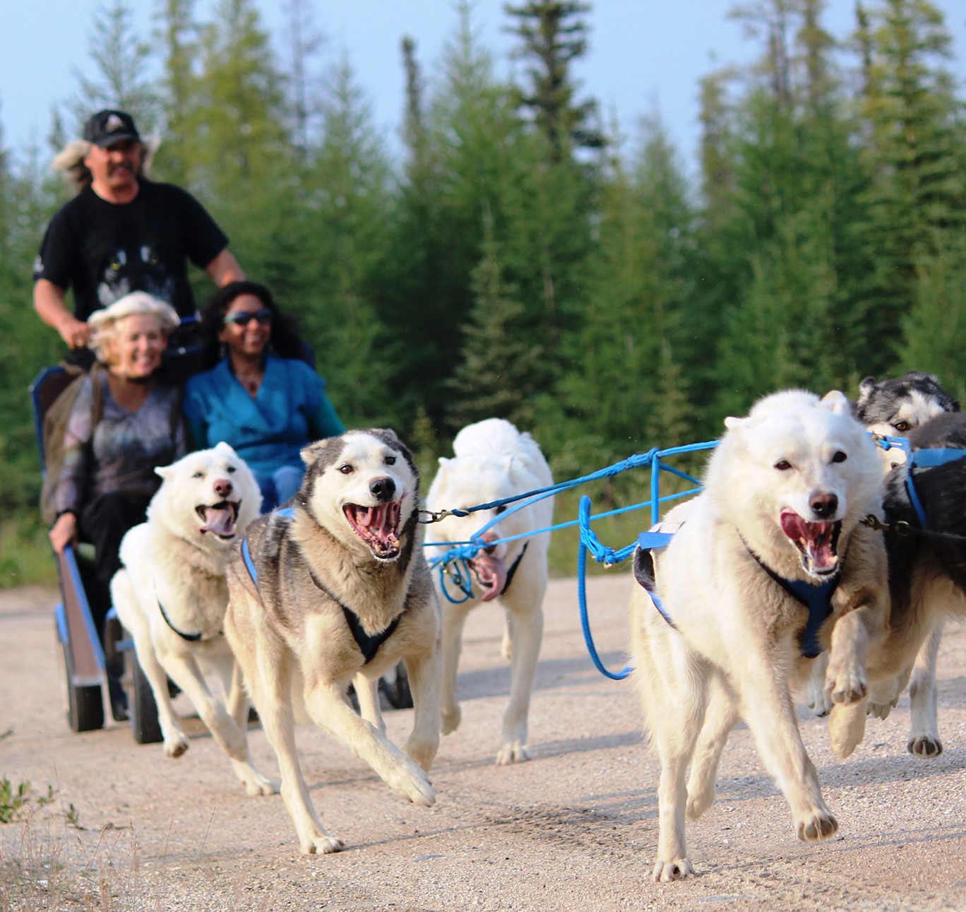 Dog Mushing