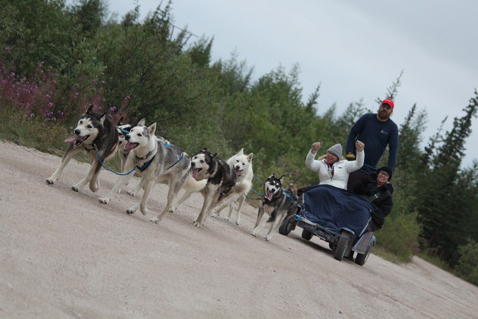 Dog Mushing 2