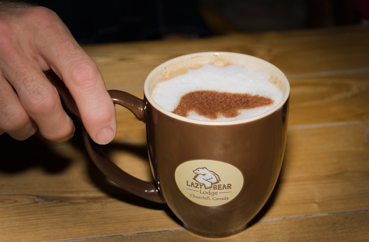 LazyBear cafe 2
