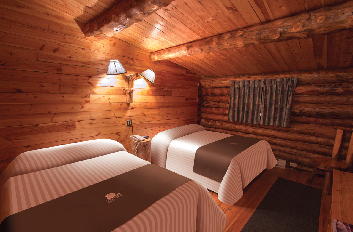 LazyBear room