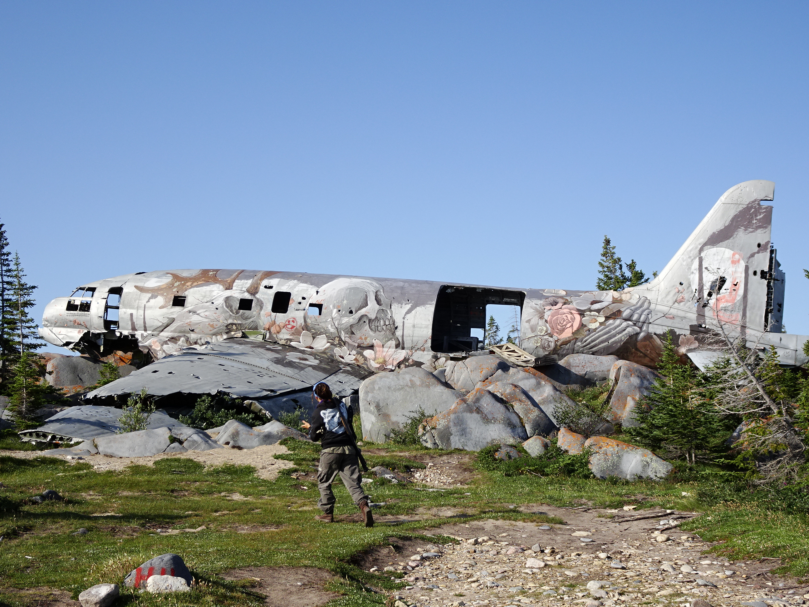 Miss Piggy Plane Crash