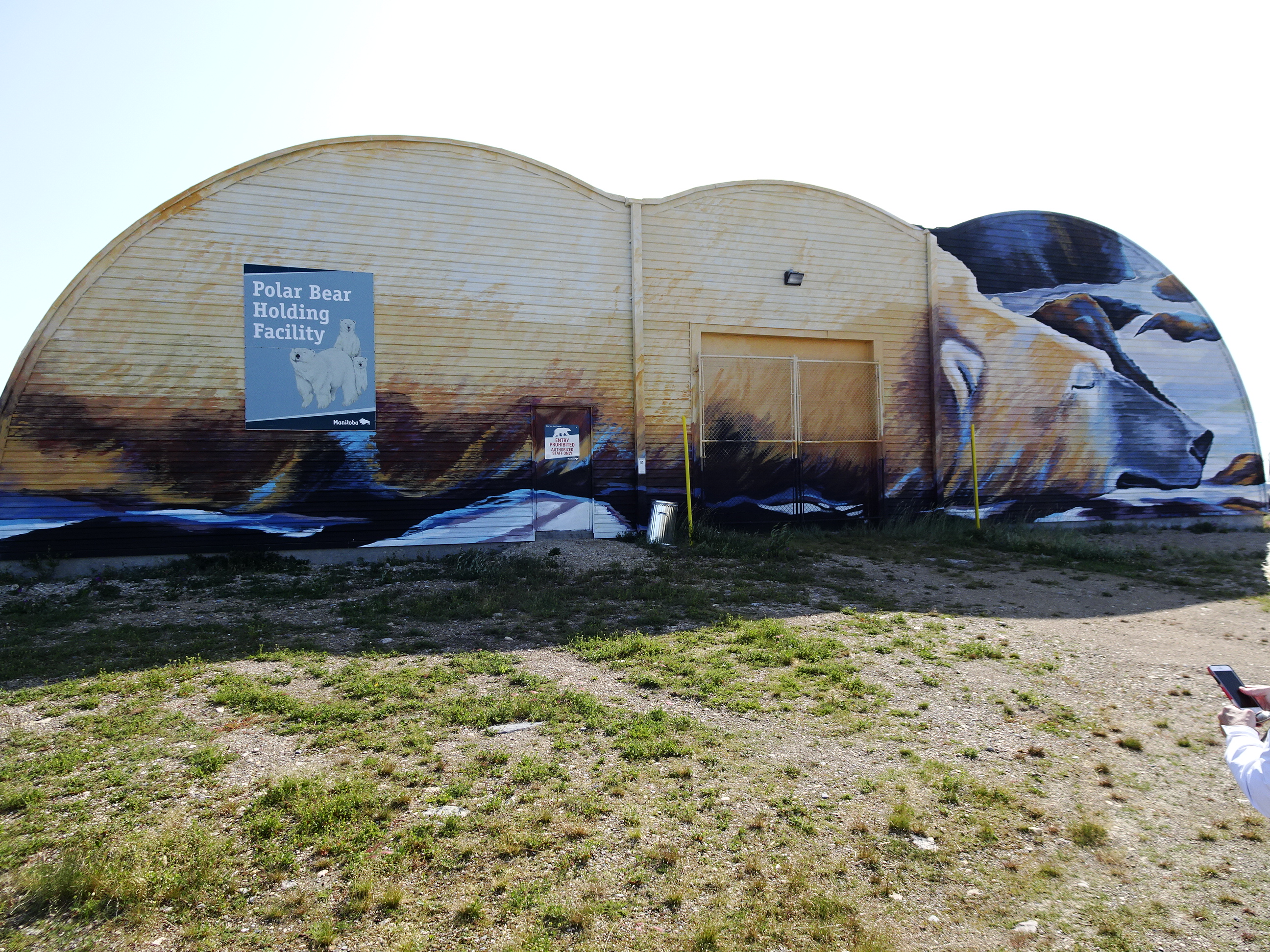 Polar Bear Jail