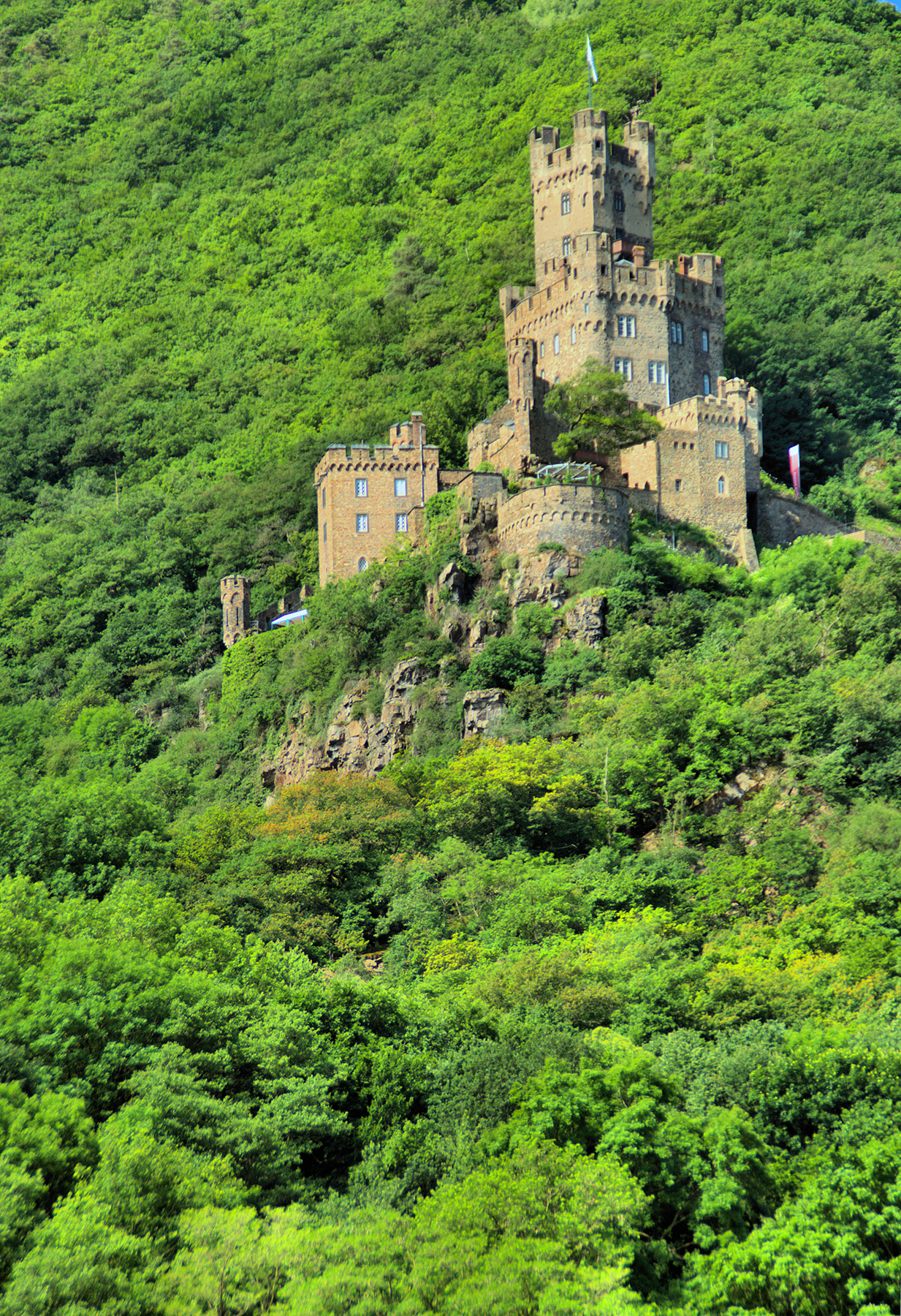 Rhine Castles