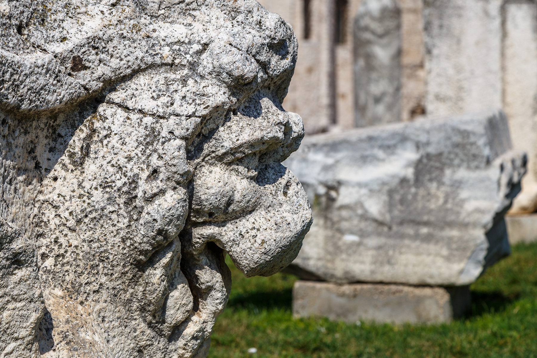 Roman Forum Zadar