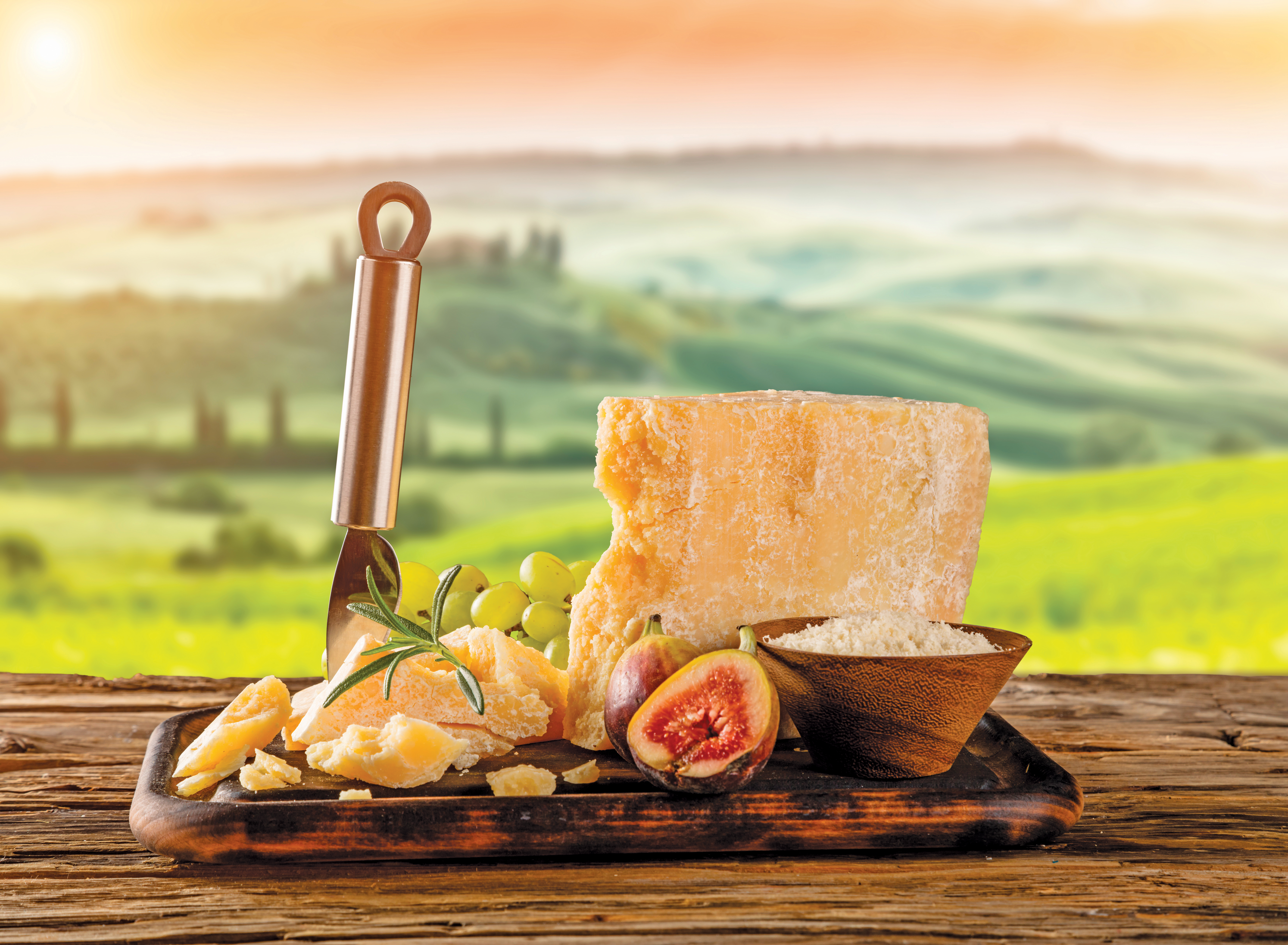 Parmesan Cheese Tasting