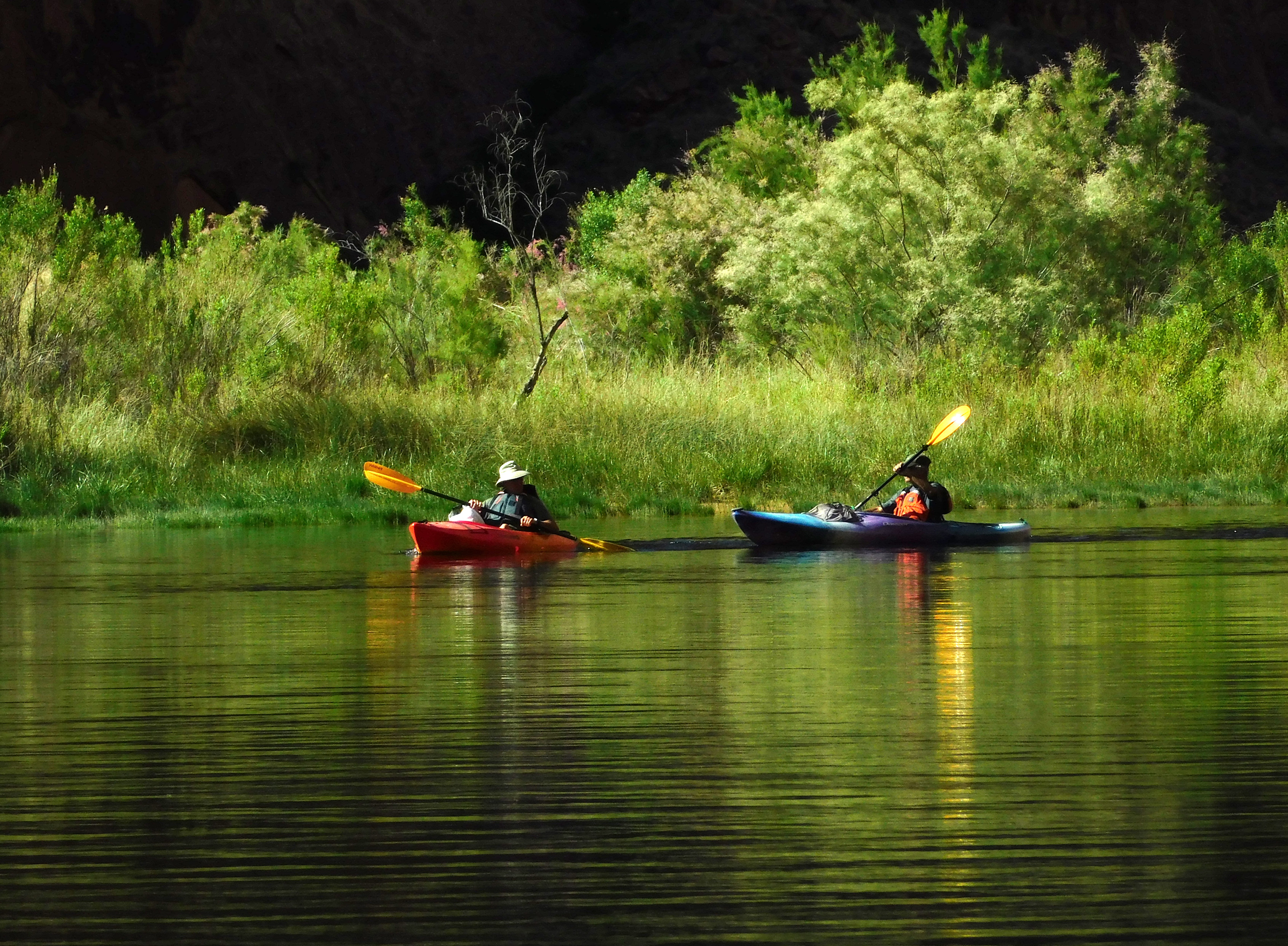 kayakers