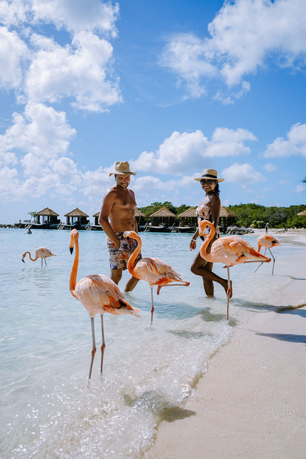 two beachgoers marvel and flamingos on the shore